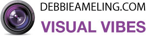 debbie ameling.com logo